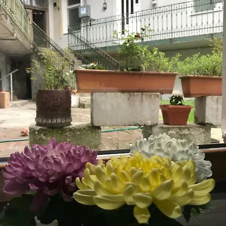 Apartment Cathedral *